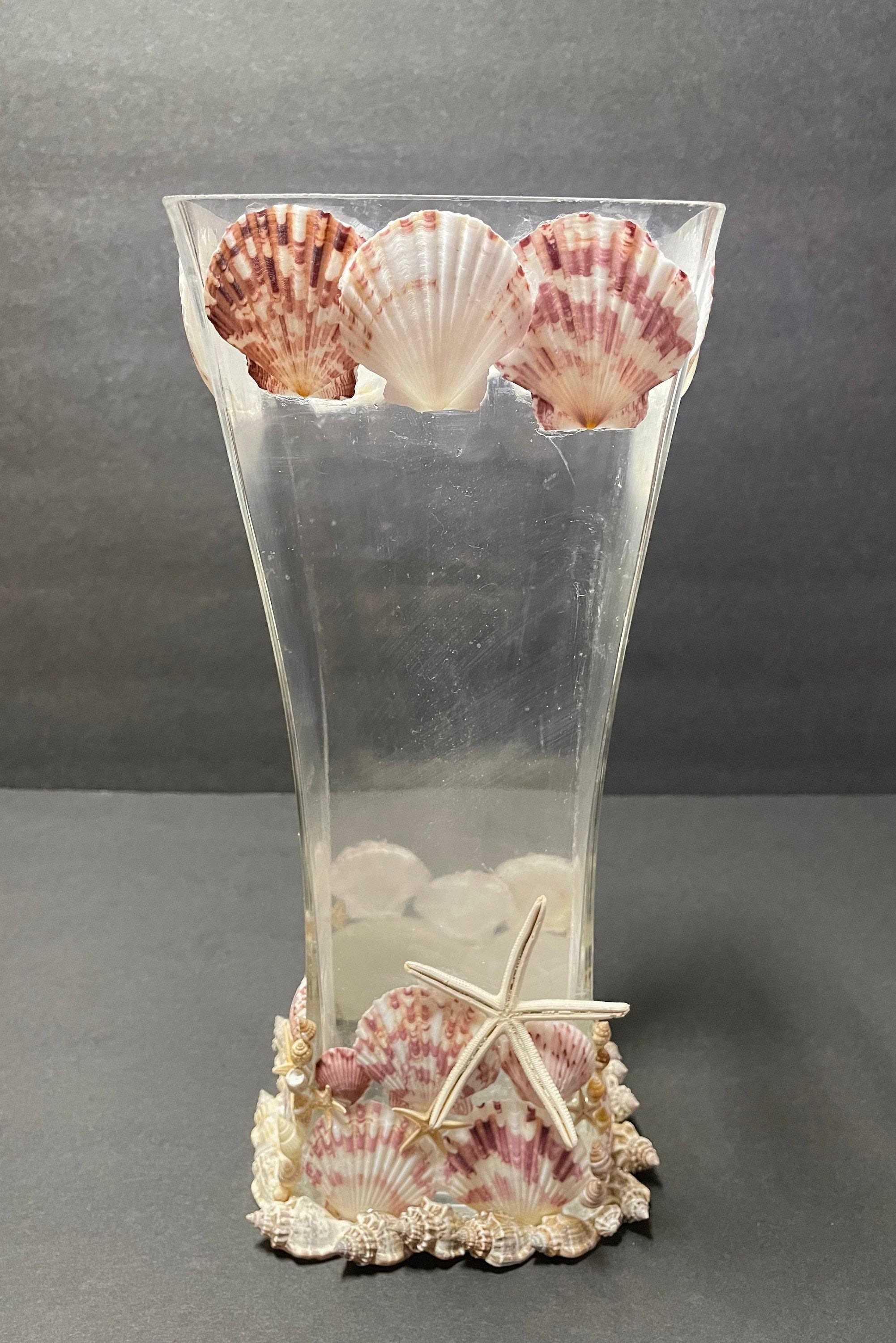 Seashell vase | Etsy