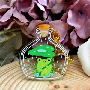 Rain frog keyring with gold star clasp, doublesided frog friend collection - frog gift, frog accessories, frogcore mushroomcore witchcore co