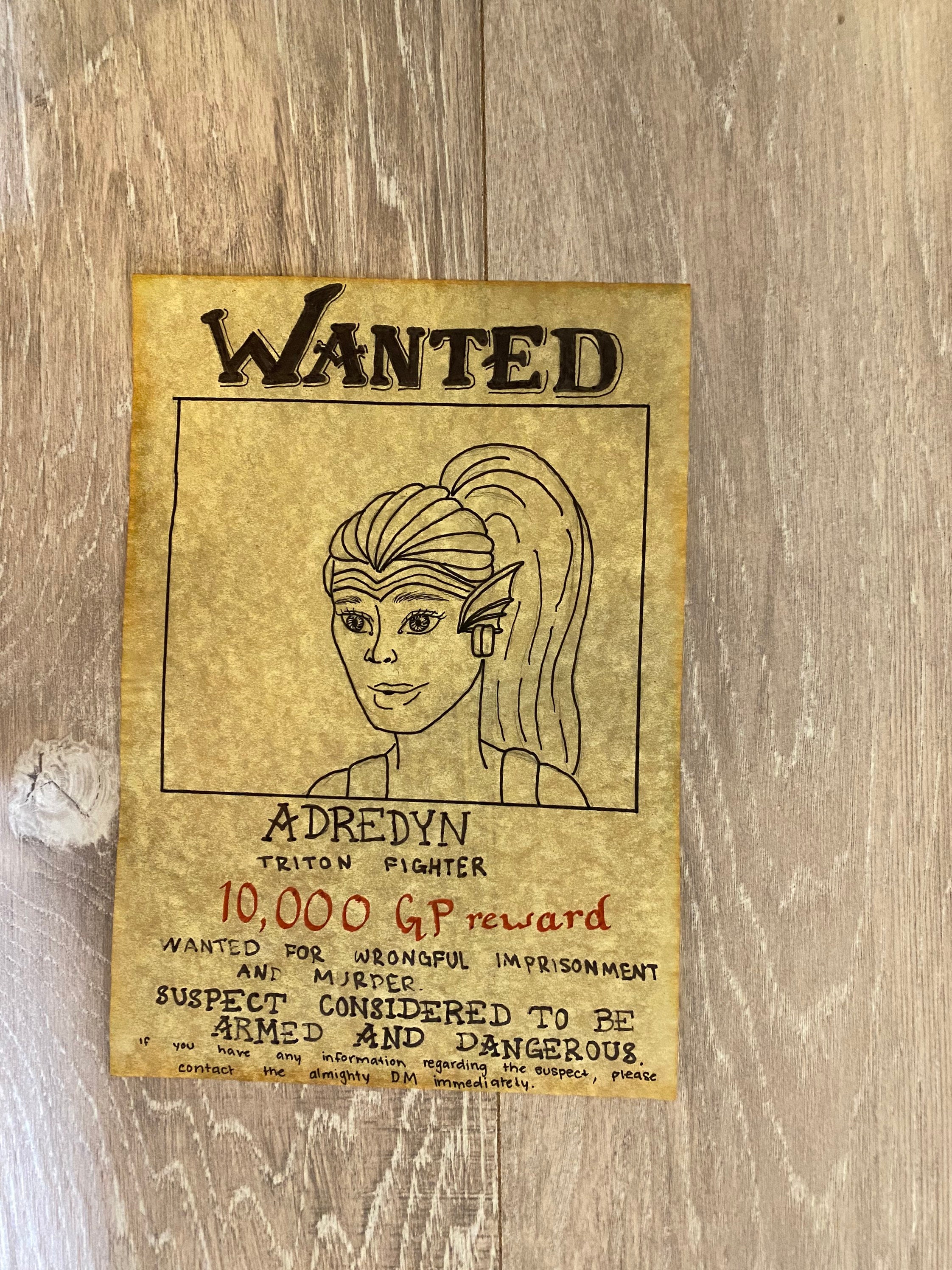 Dungeons and Dragons Custom Wanted Posters - Etsy