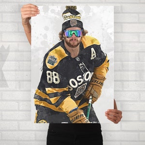 Lot Detail - David Pastrnak - 2019 NHL Winter Classic-Used Stick -  Photo-Matched