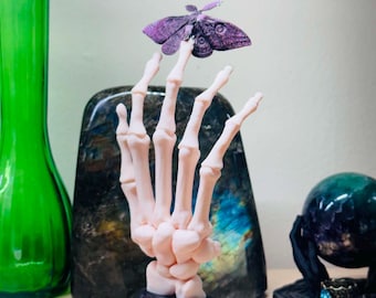 Düstere Romantik | Kurioses Dekor | Gothic | Bücherregal-Display