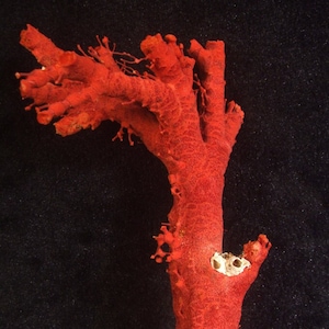 Natural Red Coral, Branches of Coral, Coral Tree, Coral Reef Cluster, Undyed, Unpolished 330gr (S-171)