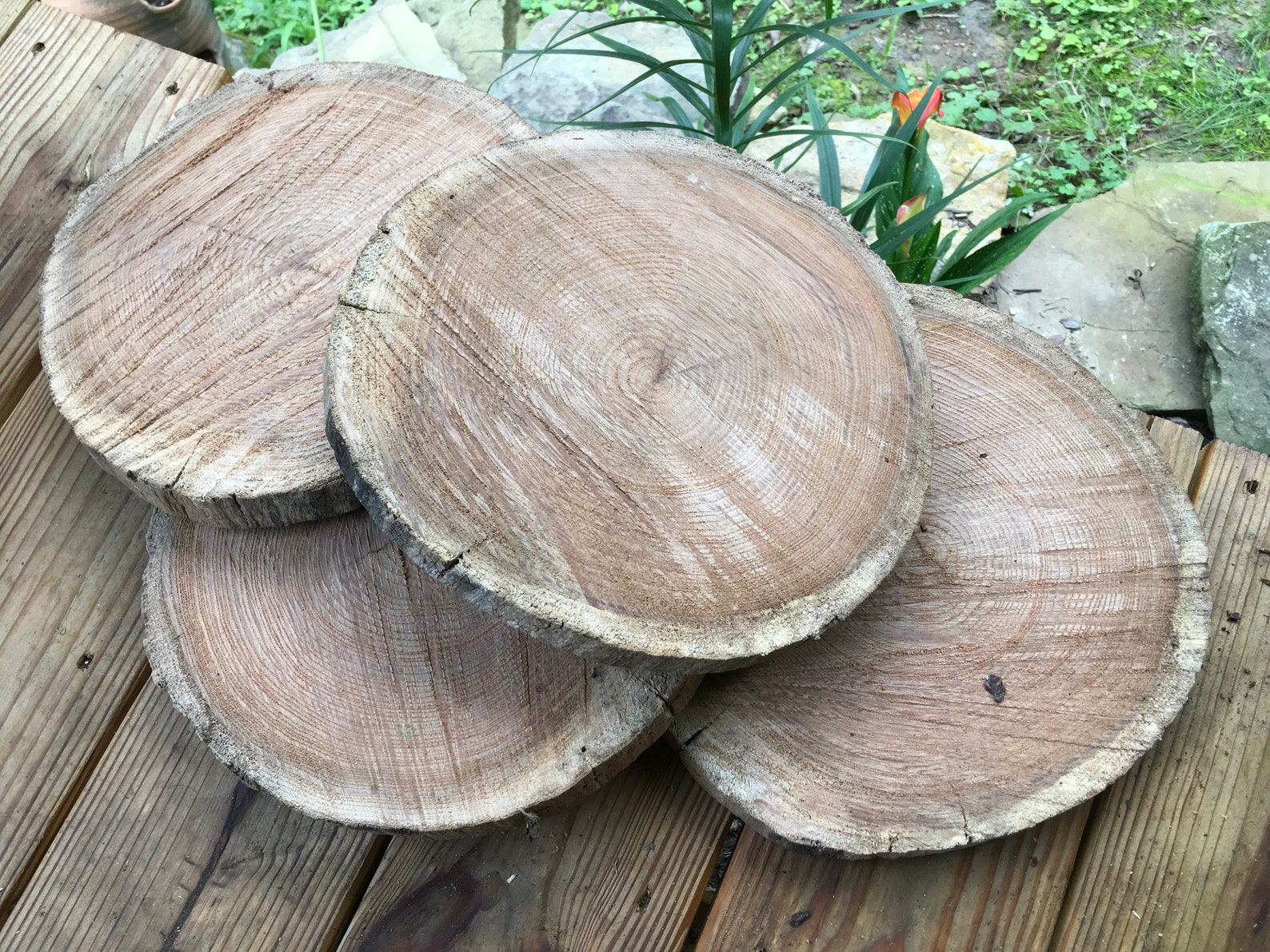 Set of 4 large Rustic Wood slices approximately 11 inches Etsy