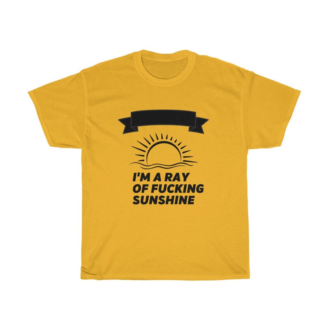 I'm A Ray Of Fucking Sunshine Funny Sarcastic T-shirt | Etsy