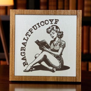 BAGBALTPUICOYF, Bookshelf Leaner, Bookshelf, Bookshelf Decor, Library Decor, Bookshelf Sign, Smut