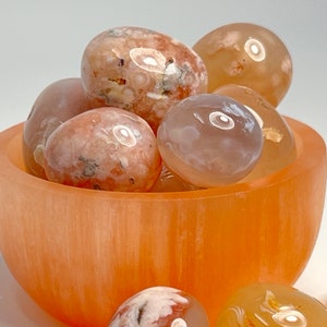 2oz Flower agate tumbled stones