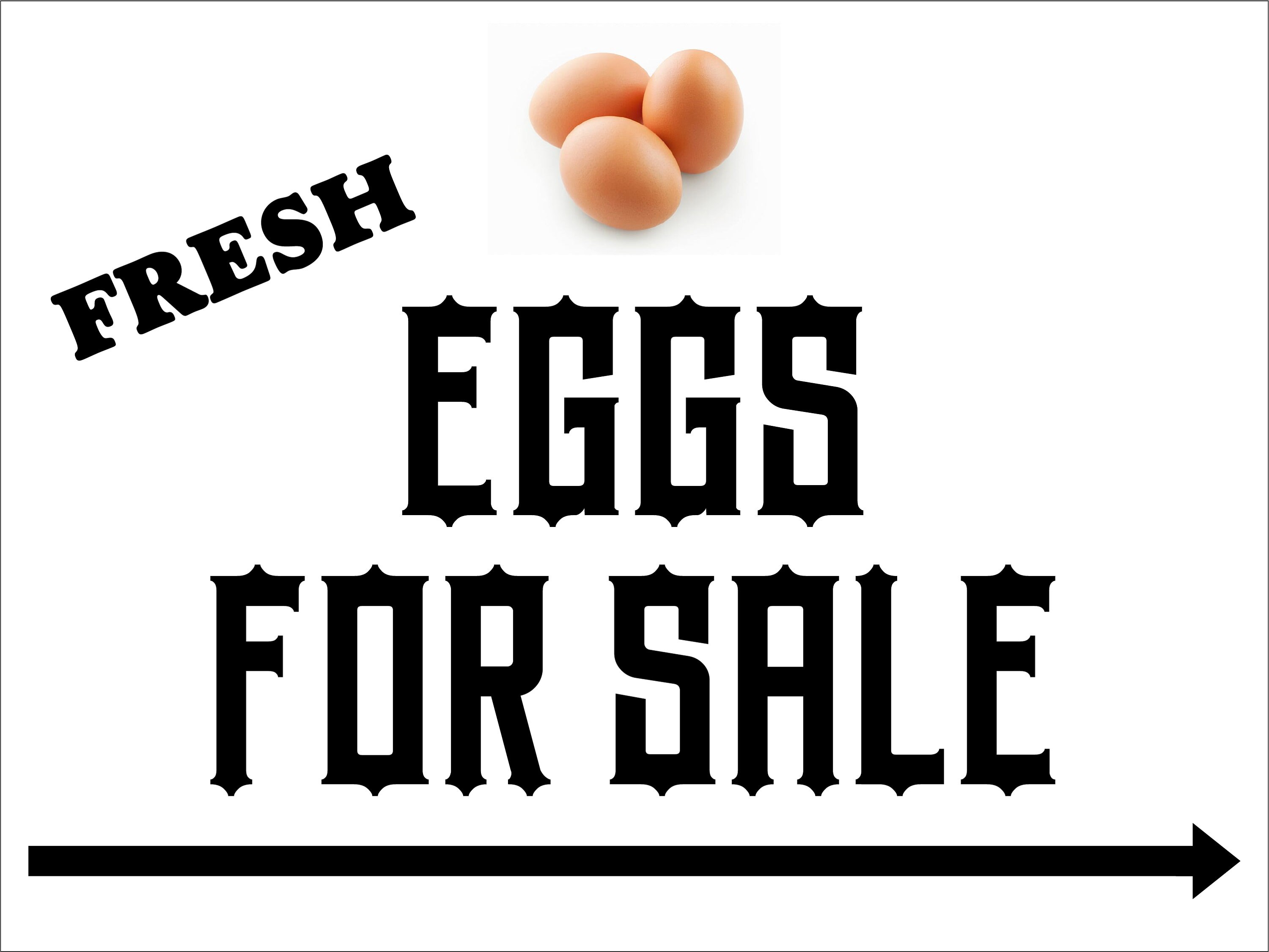 18x24 Corrugated Plastic Sign Fresh Eggs For Sale Etsy