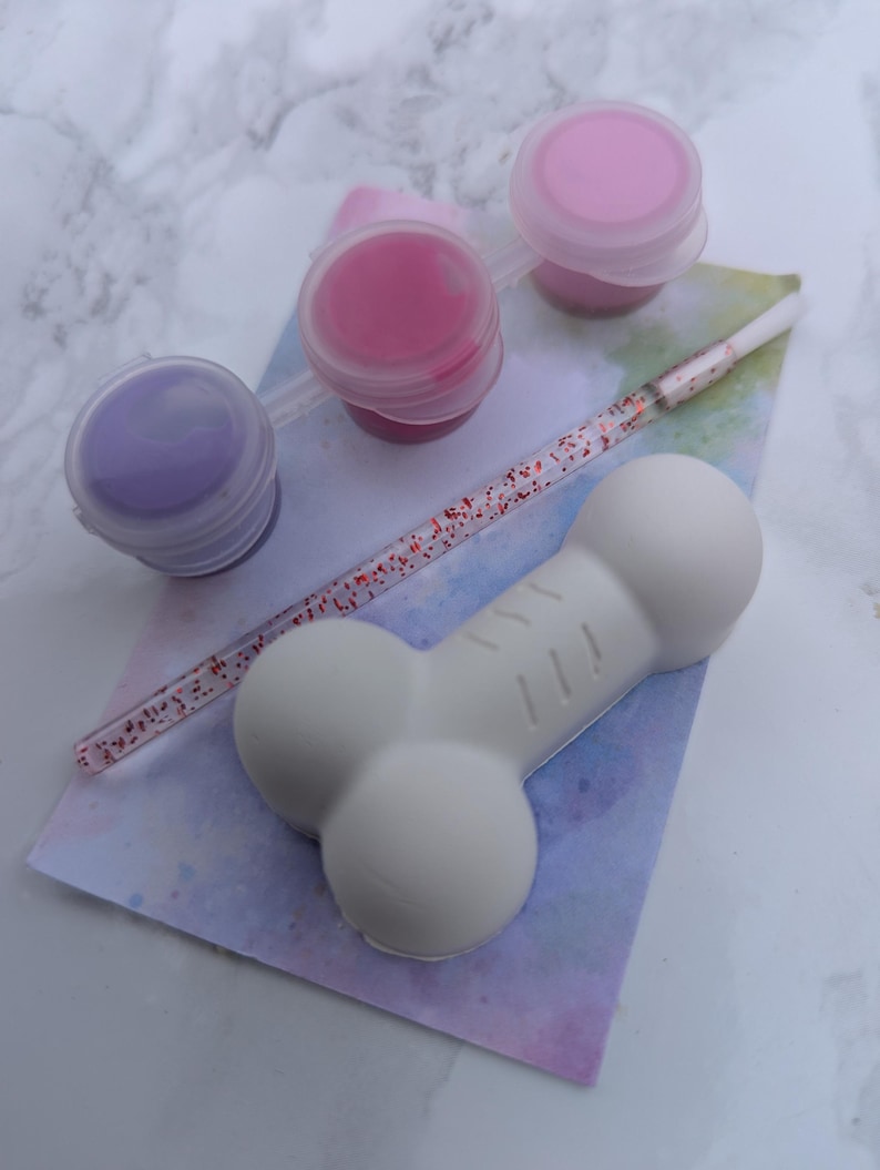Paint Your Own Willy Kit. Hen Do Party Favour. - Etsy UK