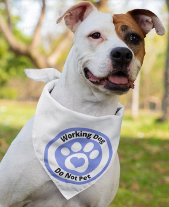 Working Dog Do Not Pet Dont Pet Round Paw Print Service Dog Etsy