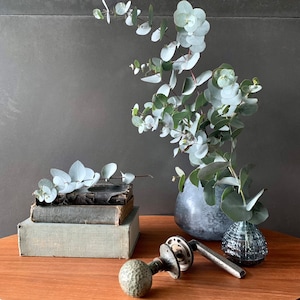 May include: A still life featuring a bouquet of eucalyptus branches in a grey ceramic vase, a stack of books, and a decorative door knob on a wooden table.
