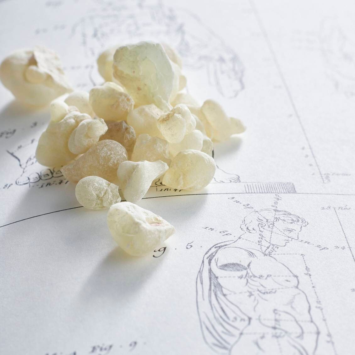 Encens Oliban Oman Royal Green Hojari | Qualité Certifiée Pot Verre Haut de Gamme Fraîcheur&parfum A