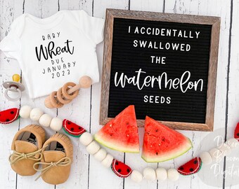 May include: A white onesie with the text "Baby Wheat Due January 2023" on it. A black letter board with the text "I accidentally swallowed the watermelon seeds". A white wooden bead garland with red felt watermelon slices. Two brown baby moccasins. A pacifier and a wooden rattle.