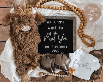 Peut inclure: Un panier en bois rustique rempli d'une couverture blanche, un animal en peluche marron, une pancarte en ardoise qui indique "We can't wait to meet you. Due September 2023", un body blanc avec le texte "Baby Williams", et une guirlande de perles en bois.