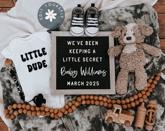 May include: A black letter board with the text "We've been keeping a little secret Baby Williams March 2025".  A white onesie with the text "Little Dude" is next to the letter board.  A teddy bear, a pair of baby shoes, and a wooden toy truck are also in the image.