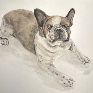 Custom Watercolour Pet Portraits image 2