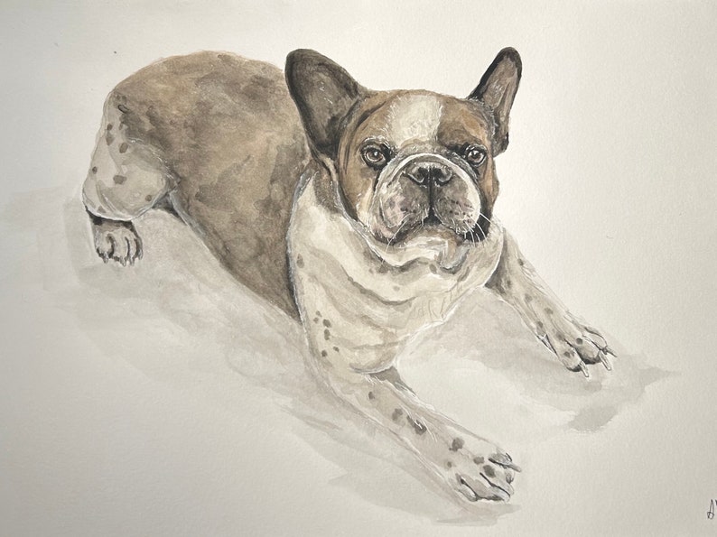 Custom Watercolour Pet Portraits image 2