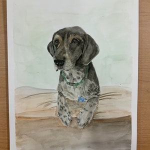 Custom Watercolour Pet Portraits image 3