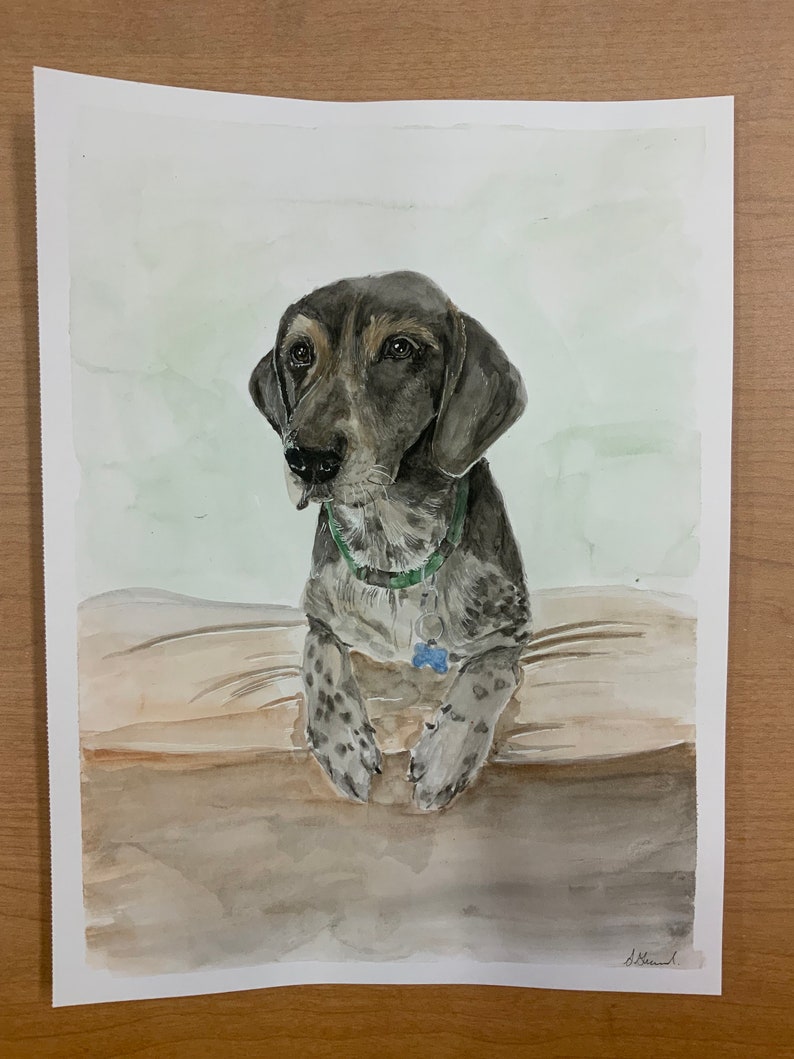 Custom Watercolour Pet Portraits image 3