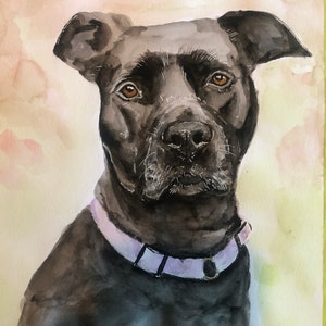 Custom Watercolour Pet Portraits image 1