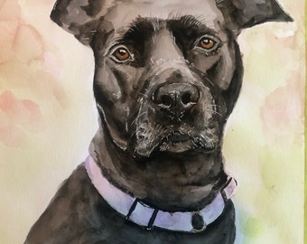 Custom Watercolour Pet Portraits