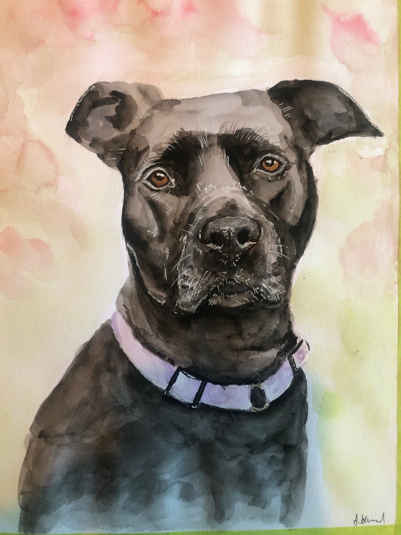 Custom Watercolour Pet Portraits image 1