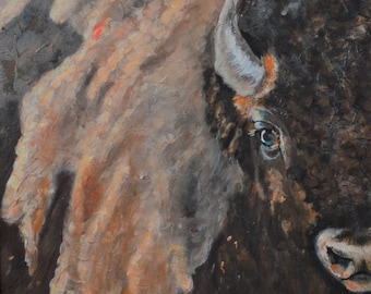Giclee Print Buffalo American Bison Portrait, di medie dimensioni