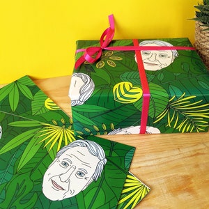David Attenborough Gift Wrap, Wrapping Paper, Birthday, Present, Tropical Rainforest, Green Leaves, Eco-Friendly, Recyclable