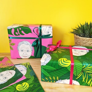 David Attenborough Gift Wrap Set of 2 Tropical Wrapping Papers, Birthday, Present, Rainforest Leaves, Eco-Friendly, Recyclable