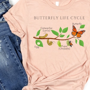 Science Teacher Shirt, Science Gift, Science Shirt, Butterfly Life Cycle, Natural Sciences