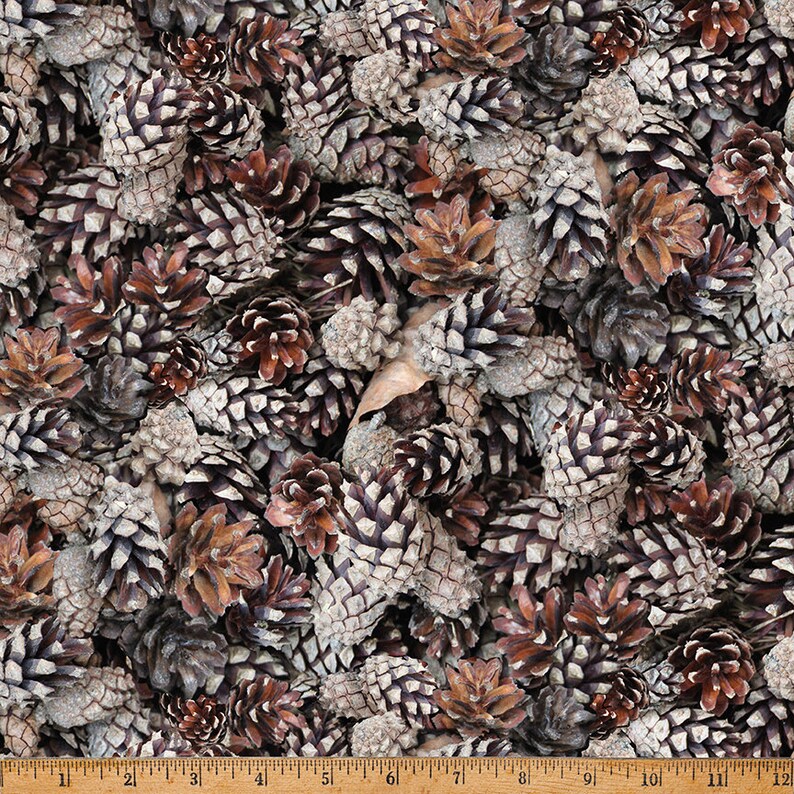 May include: A close-up image of a pile of brown and gray pine cones. The pine cones are arranged in a random pattern and are all different sizes. The pine cones are a natural material and have a rough texture.