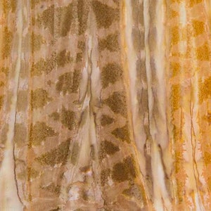 May include: Abstract art print with vertical stripes in shades of brown, beige, and white. The stripes are uneven and have a textured appearance.
