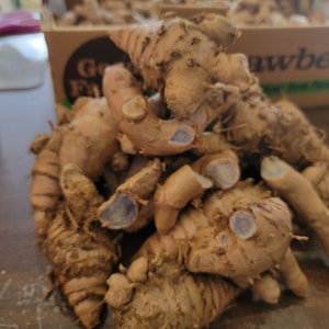 May include: A close-up of a pile of brown turmeric roots with purple hues. The roots are knobby and have a rough texture.