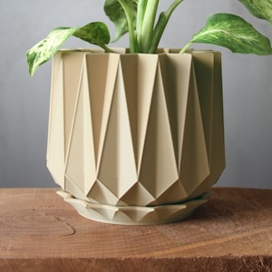 May include: A green and white variegated plant in a beige geometric planter. The planter has a textured, origami-like design.