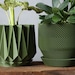 see more listings in the Dark Green Planter Sets section