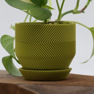 May include: A green, textured planter with a matching saucer, featuring a chevron pattern. The planter holds a green leafy plant. The pot is approximately 6 inches tall and 6 inches wide. The plant pot is sitting on a wooden surface.