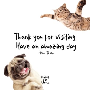 Pu&ograve; includere: Uno sfondo bianco con un carlino e un gatto tigrato. Il carlino ride con la lingua di fuori. Il gatto sta volando a testa in gi&ugrave;. Il testo dice "Grazie per la visita Ti auguro una giornata fantastica -Paw Team Project For Paws".