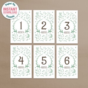 PRINTABLE Woodland Baby Milestone Cards | Hand-drawn | Gender Neutral ...