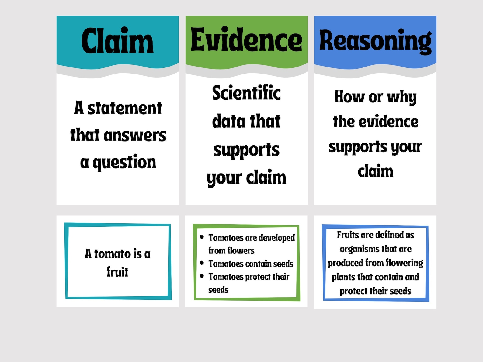 Claim Evidence Reasoning Template