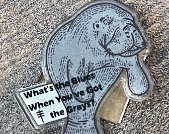 Acrylic Manatee Pin Badge Frightened Rabbit