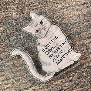 May include: A white cat with gray markings sits on a white background. The cat has a serious expression on its face. The text "Even the Devil needs time alone sometimes" is printed on the background. The text "Rainbow Kitten Surprise" is printed in a smaller font at the bottom of the image.