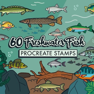 Puede incluir: Un conjunto de 60 sellos digitales con diversas ilustraciones de peces de agua dulce. Los sellos están diseñados para su uso en la aplicación Procreate. Las ilustraciones son de estilo de dibujos animados y presentan una variedad de especies de peces, incluyendo lubina, bagre, trucha y más.