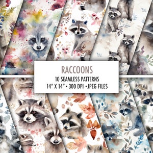 10 modèles sans couture aquarelle adorable raton laveur, papier numérique raton laveur