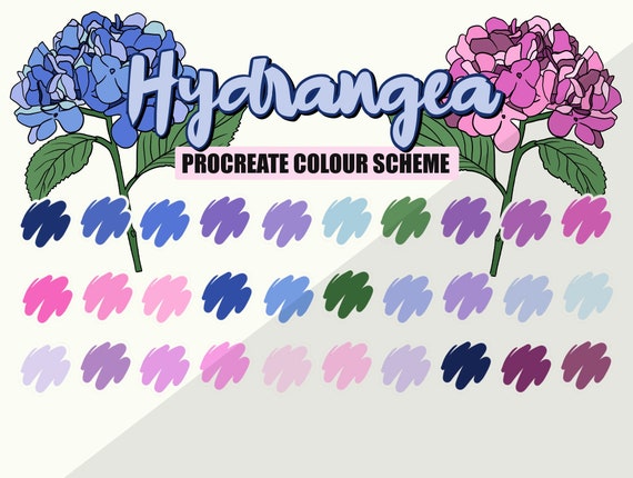 Hydrangea Color Scheme Palette for Procreate, Blue, Purple, Flower colour scheme