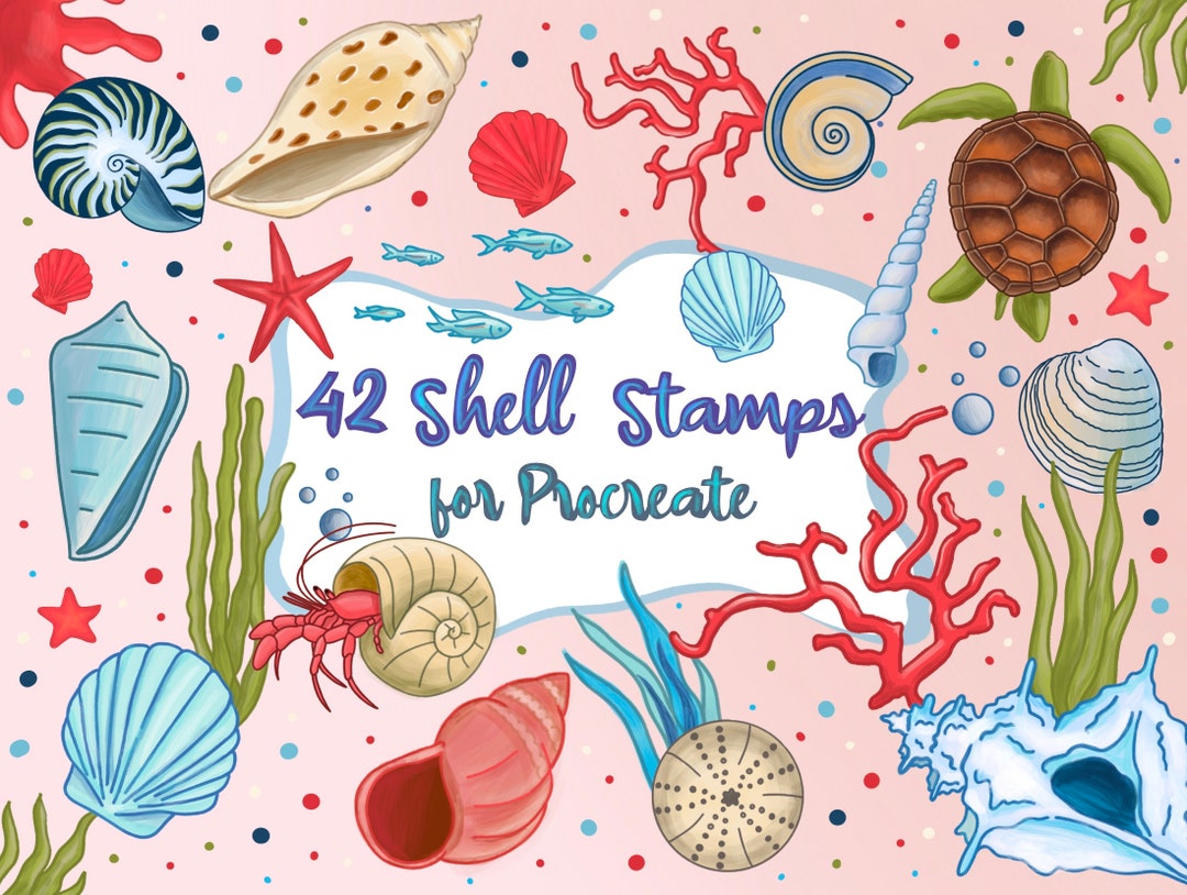 42 Seashell Stamps for Procreate: Under the Sea Brushes (digital ...
