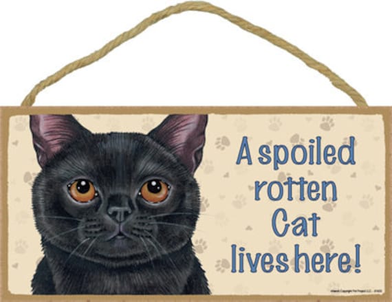 A Spoiled Rotten Cat Lives Here Black Cat Cute Wood Hanging 