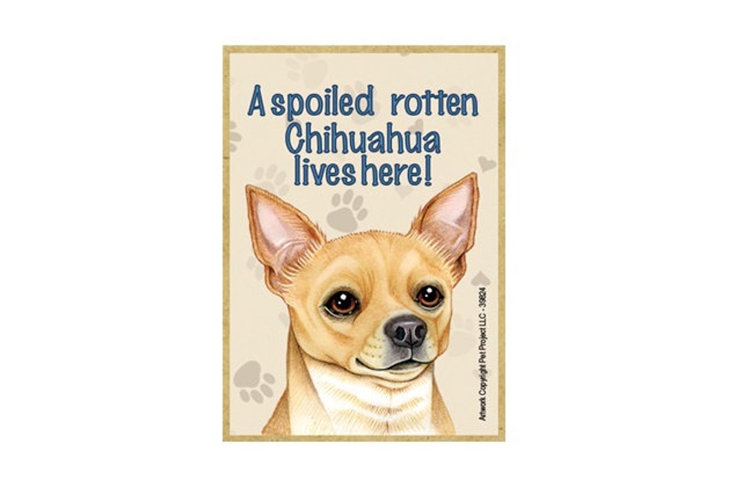 Spoiled Rotten Chihuahua Lives Here Nice Wood Dog Magnet Fridge