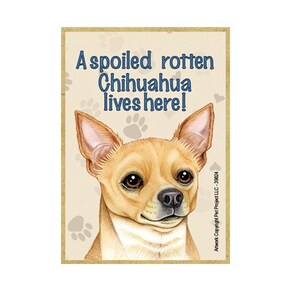 Spoiled Rotten Chihuahua lives here!  Nice Wood Dog Magnet Fridge Kitchen Locker Any Metal Surface Made In USA 2.5&quot; x 3.5&quot; FREE Shipping New