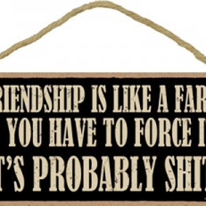 Friendship Is Like A Fart If You Have To Force It It's Probably Sh*t  Funny Hanging Wood Sign Made In The USA 10" X 5" FREE Shipping New C95