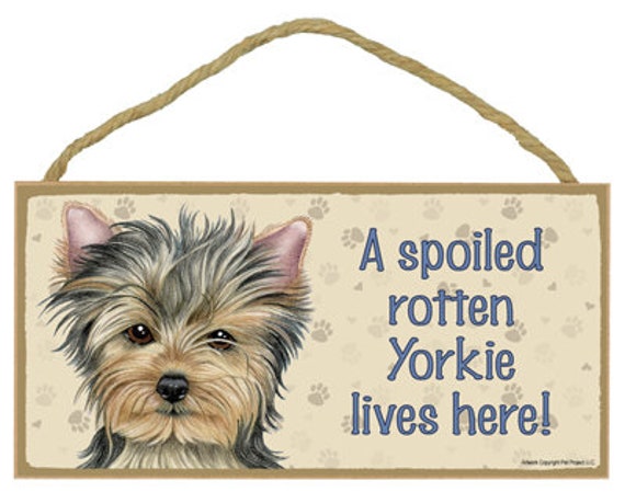 A Spoiled Rotten Yorkie Lives Here Paw Prints & Hearts Cute 
