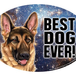 French Bulldog Magnetic Vinyl Decal - 5 Inch Car & Fridge Magnet